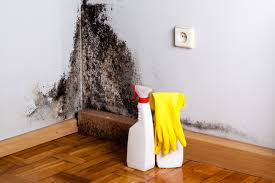 Mold Documentation for Insurance Claims in Eagle Crest, OR